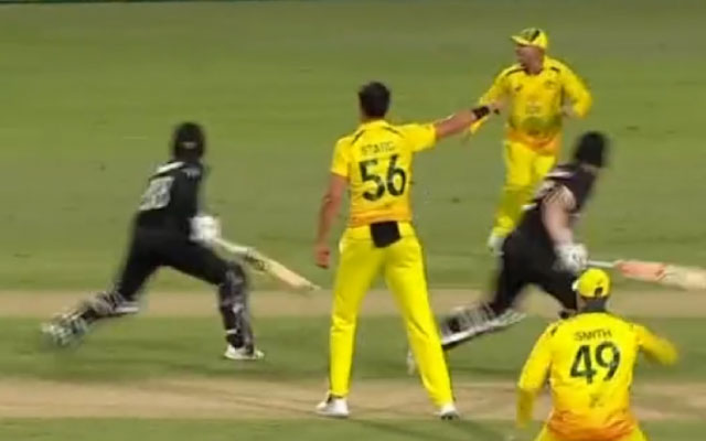 Watch: Comedy of errors as Kane Willamson somehow manages to make it back to his crease